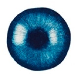 oeil bleu gravure eau-forte boite lumière la vigilante